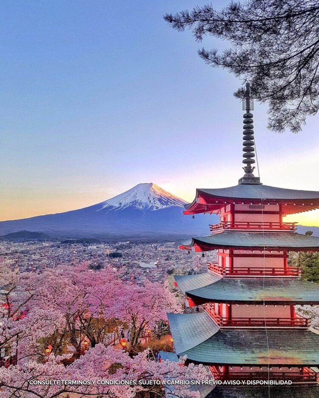 Japón